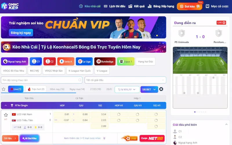 GMNC là gì? Tại sao nền tảng được quan tâm khá nhiều?